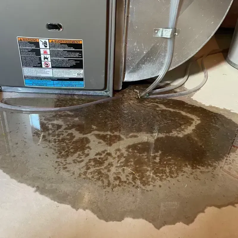 Appliance Leak Cleanup in Bayonne, NJ